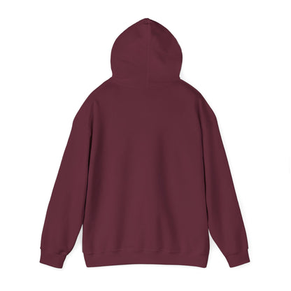 1+1=10,000 Hoodie